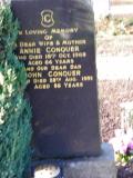 image of grave number 245401